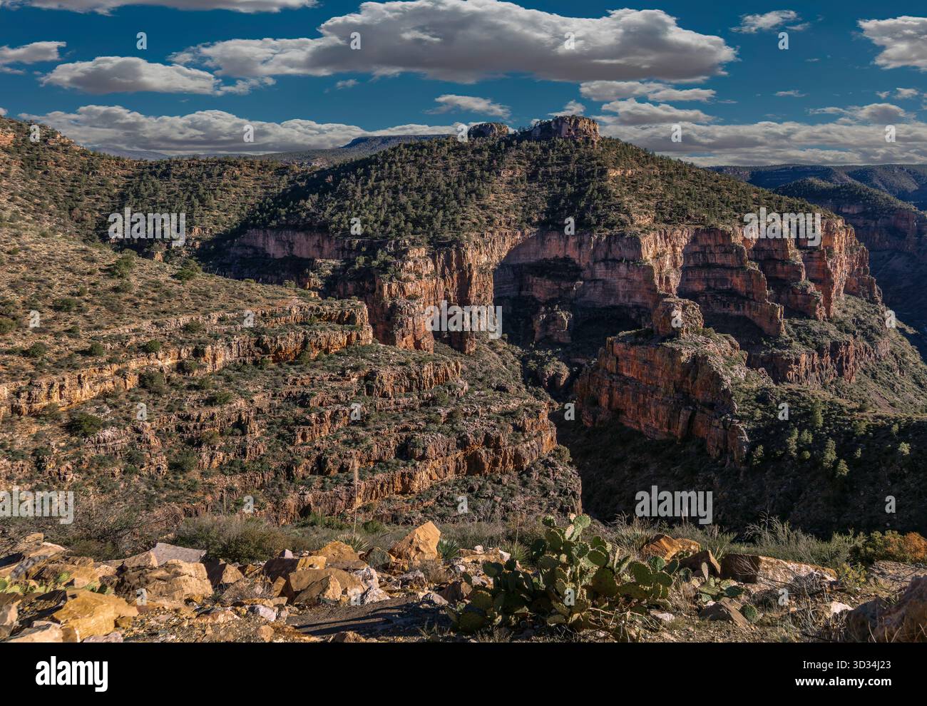 Der Salt River Canyon in Arizona schneidet sich dramatisch durch Schichten von alten vulkanischen und sedimentären Gesteinen und offenbart eine zerklüftete Landschaft. Stockfoto