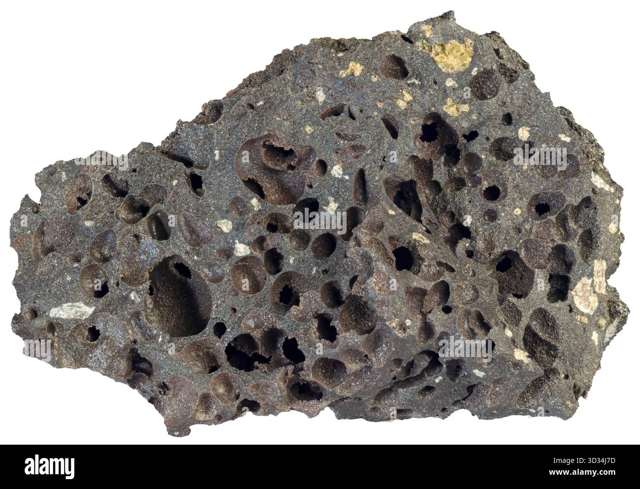 Dunkles vesikuläres Basalt aus Island, gekennzeichnet durch reichlich abgerundete Vesikeln, die durch das Entweichen vulkanischer Gase während der Eruption entstehen. Stockfoto