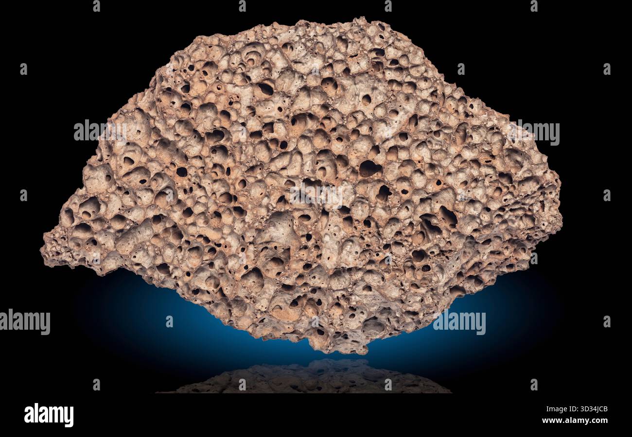 Ein verwittertes Fragment vulkanischen Tuffs aus der Greer-Region in Arizona zeigt eine schwammige Textur voller Vesikel oder Gashöhlen. Stockfoto