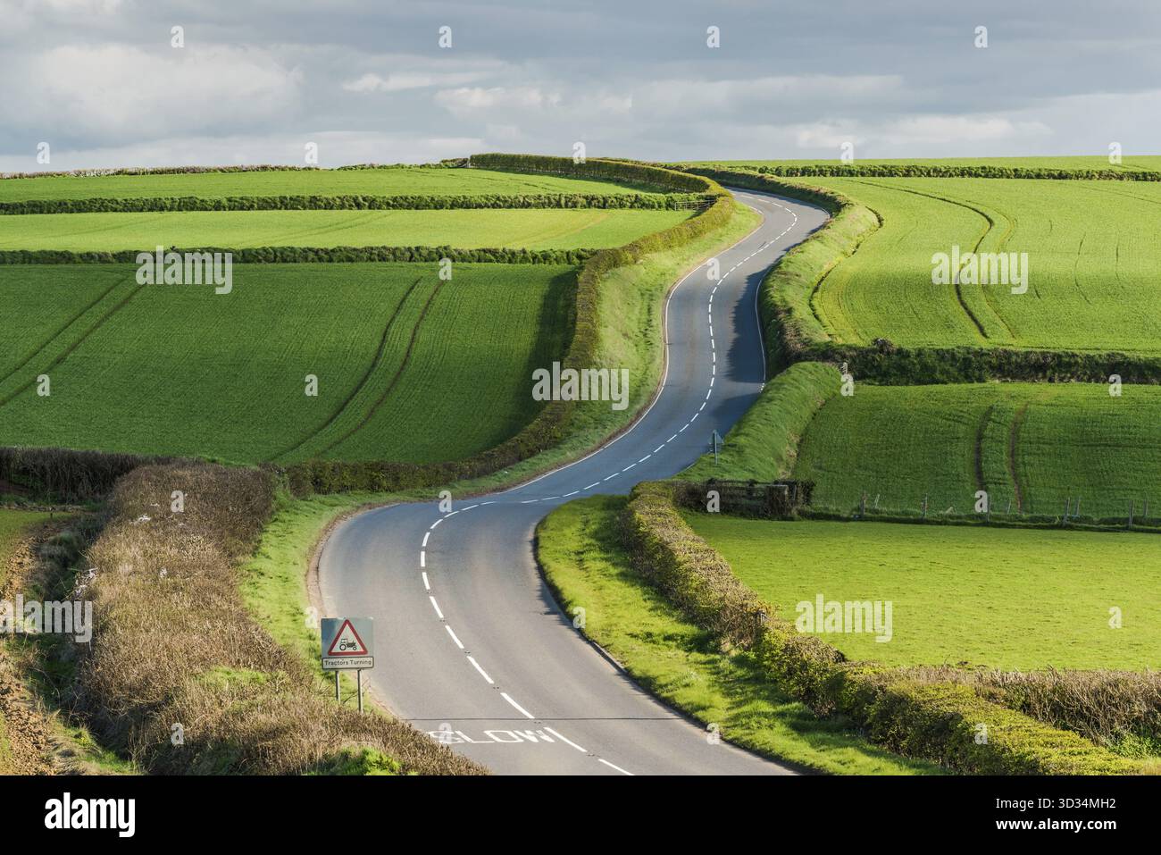 Ländliche Straße auf sanften Hügeln im Grünen, mit einsam fahrendem Auto Stockfoto