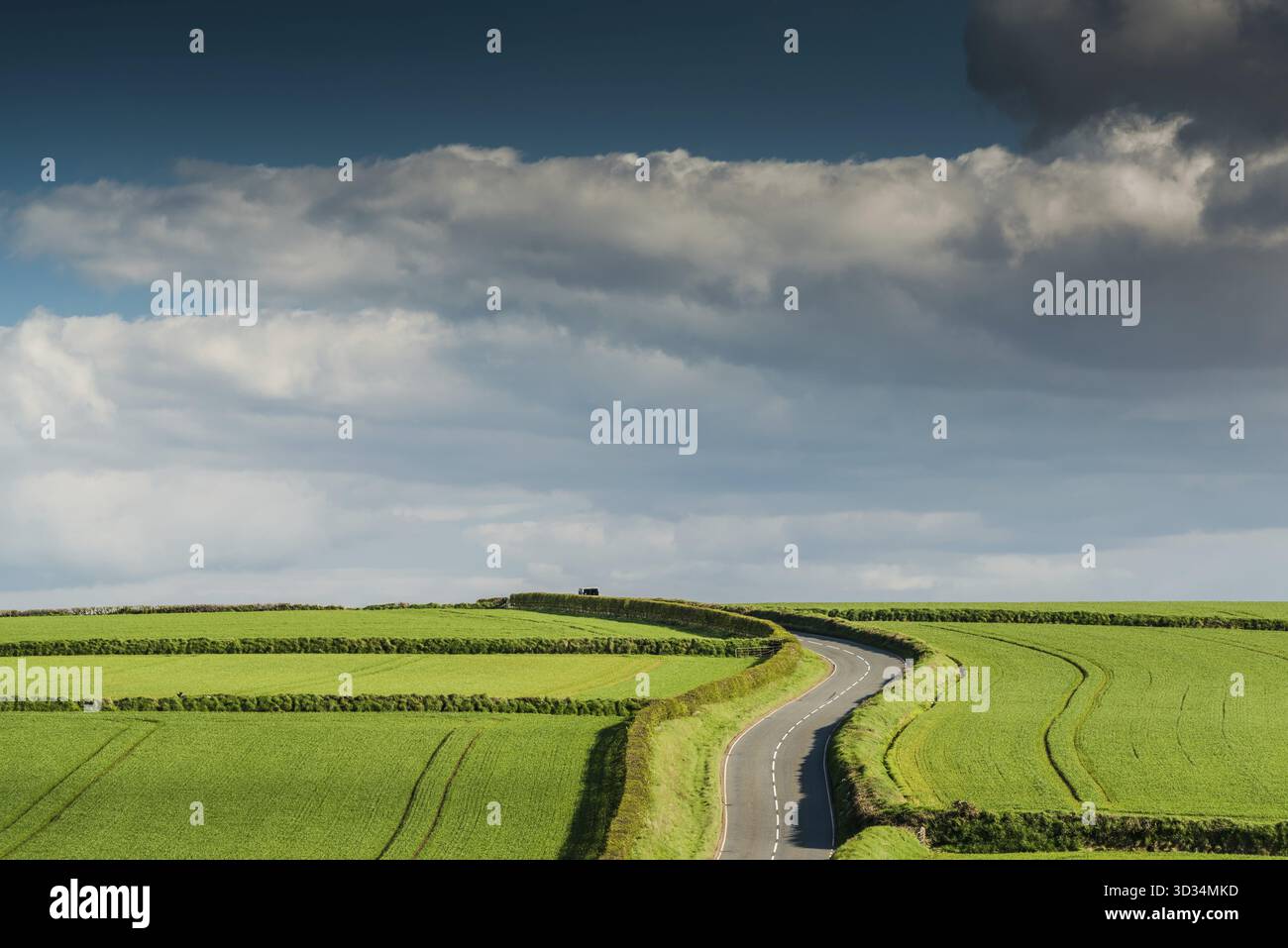 Ländliche Straße auf sanften Hügeln im Land, bewölkter Himmel Stockfoto