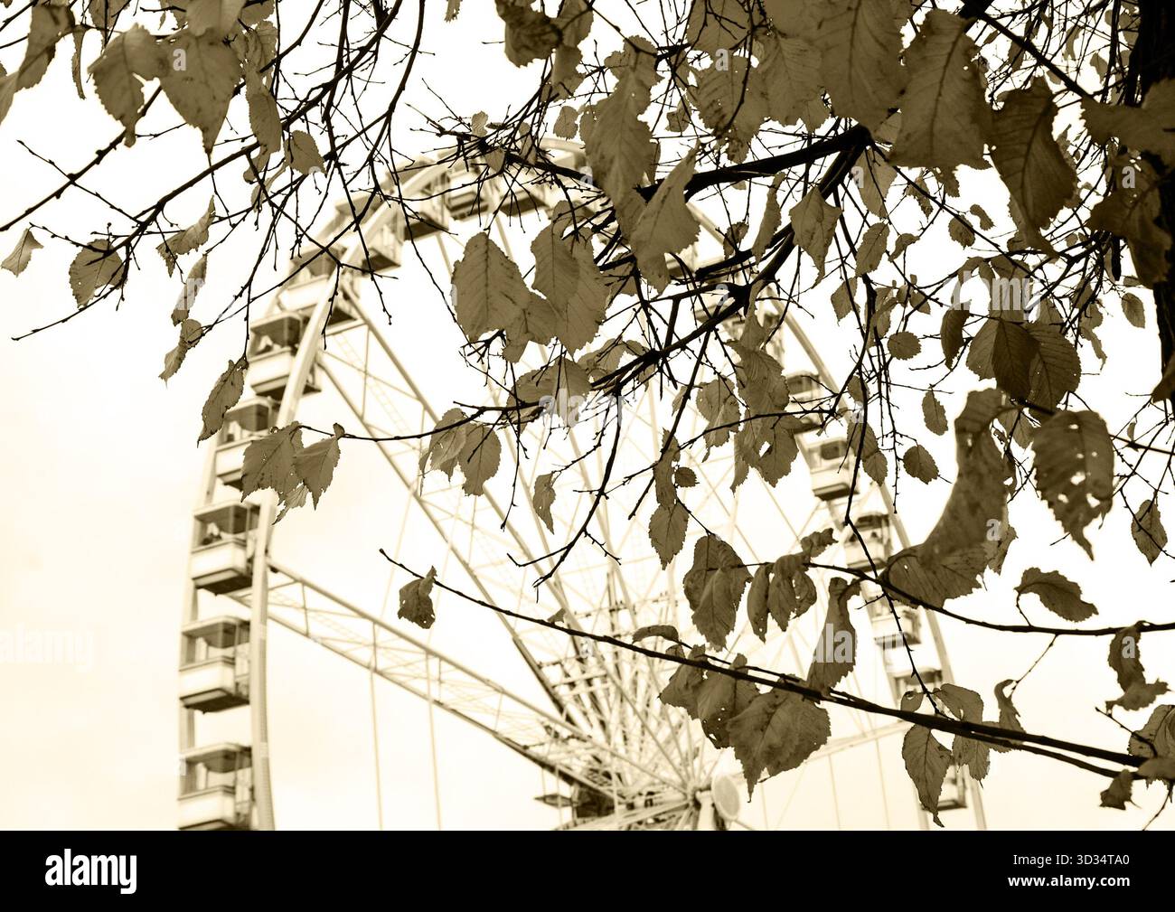 Herbst in Paris. Äste mit verblassten Blättern und der Silhouette des Riesenrads im Hintergrund. Selektiver Fokus auf die Blätter. Historisches Foto von Sepia. Stockfoto