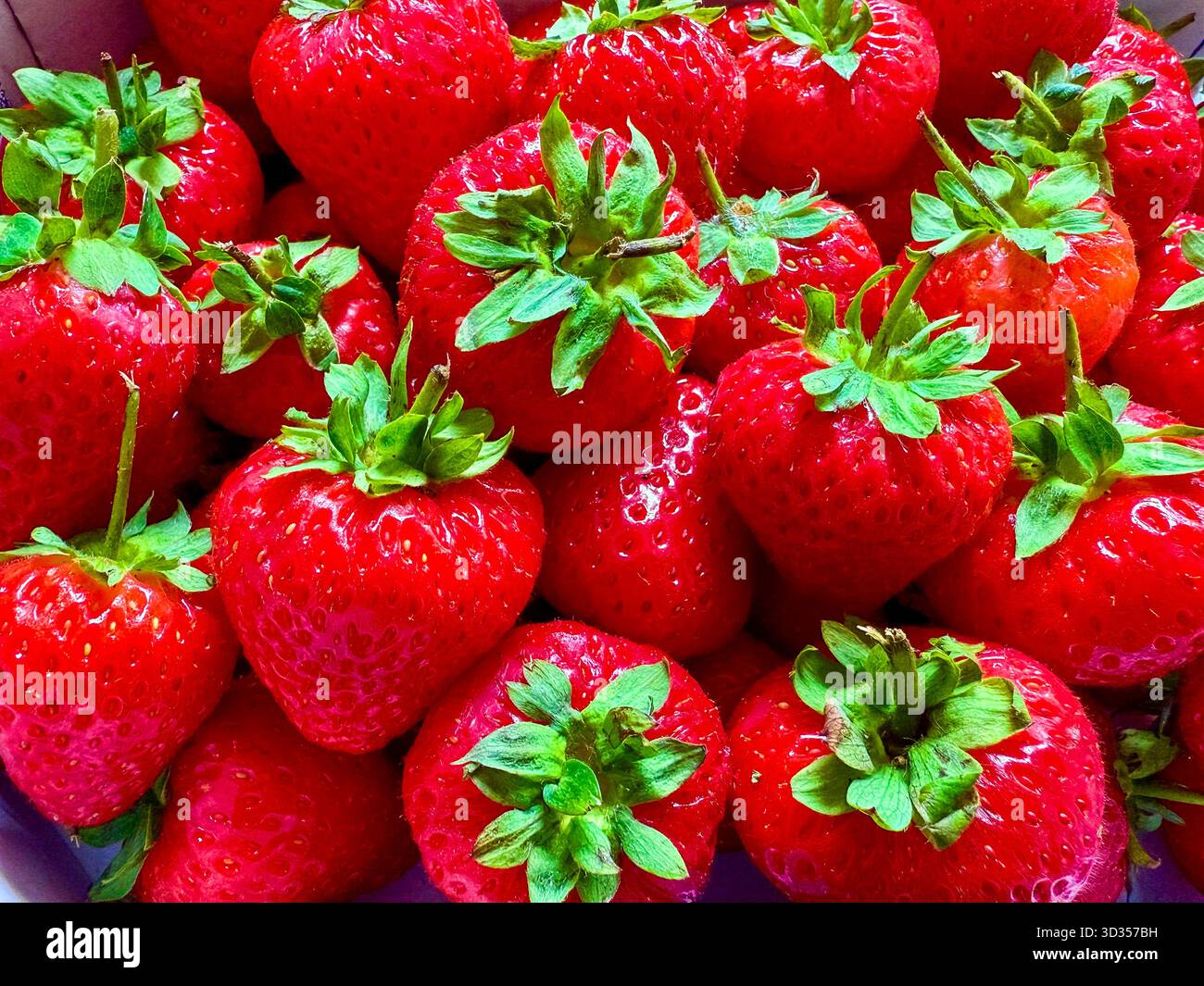 Nahaufnahme frischer reifer Erdbeeren, die auf einem Marktstand verkauft werden. Hintergründe. - Smartphone-aufgenommenes Stockfoto