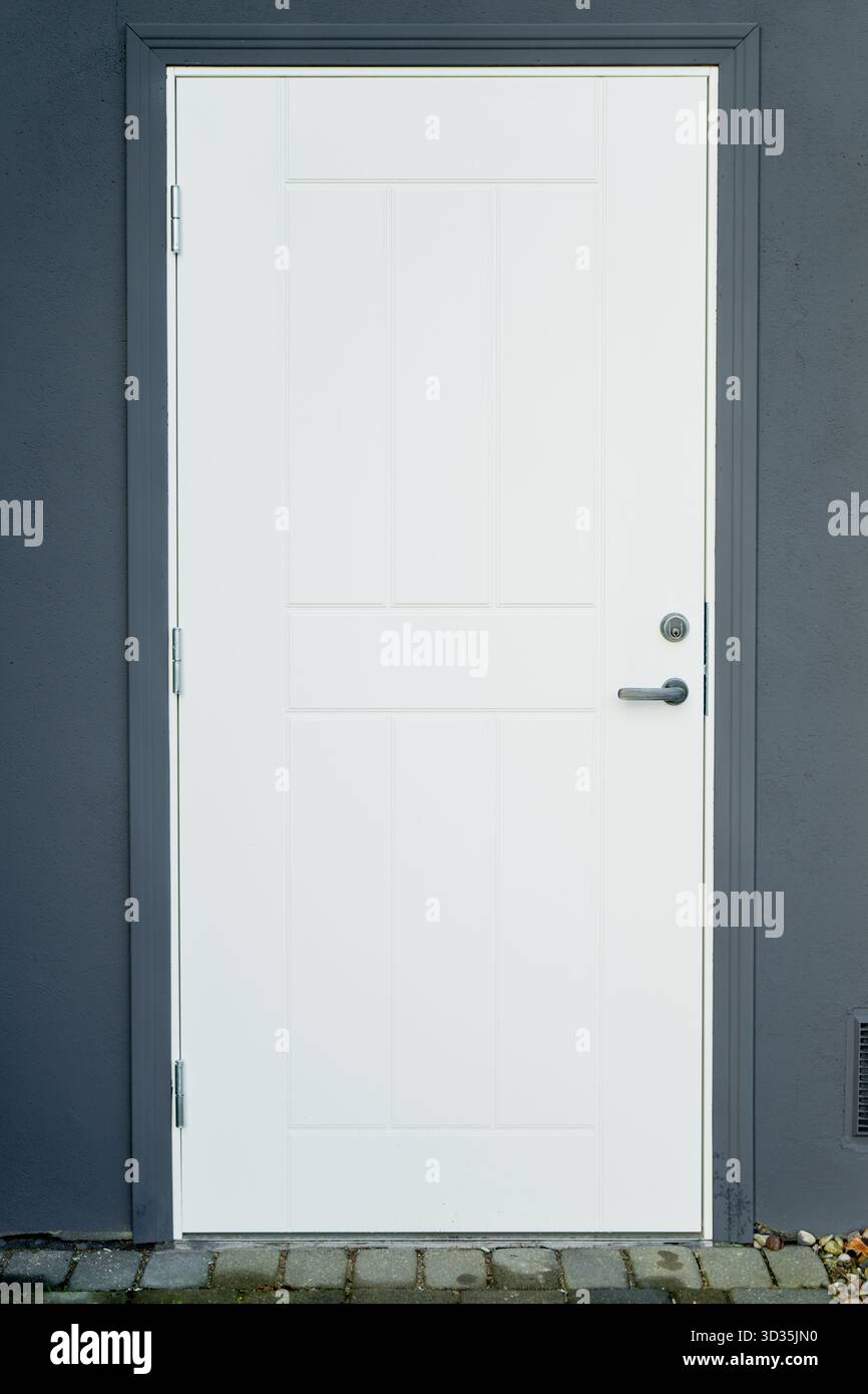 Minimalistische Eingangstür mit Metallgriff, verstärkten Scharnieren und glatter matter Wandstruktur im modernen Wohnhausdesign Stockfoto