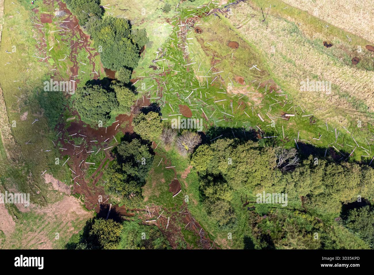 EMBARGOED BIS 0001 MITTWOCH 5. NOVEMBER Aktenfoto vom 13./09/23 von Hunderten von Stämmen, die auf der neu gebildeten Hochwasserebene am Fluss aller auf dem National Trust Holnicote Estate, Exmoor, Somerset platziert wurden. Der National Trust und die Versicherungsgesellschaft Admiral haben sich zusammengetan, um die Hochwasserprävention durch naturbasierte Lösungen zu verbessern. Die Organisationen erklärten, dass sie gemeinsam an der großangelegten Landschaftsrestaurierung arbeiten werden, um der wachsenden Überschwemmungsgefahr entgegenzuwirken. Ausgabedatum: Mittwoch, 5. November 2025. Stockfoto
