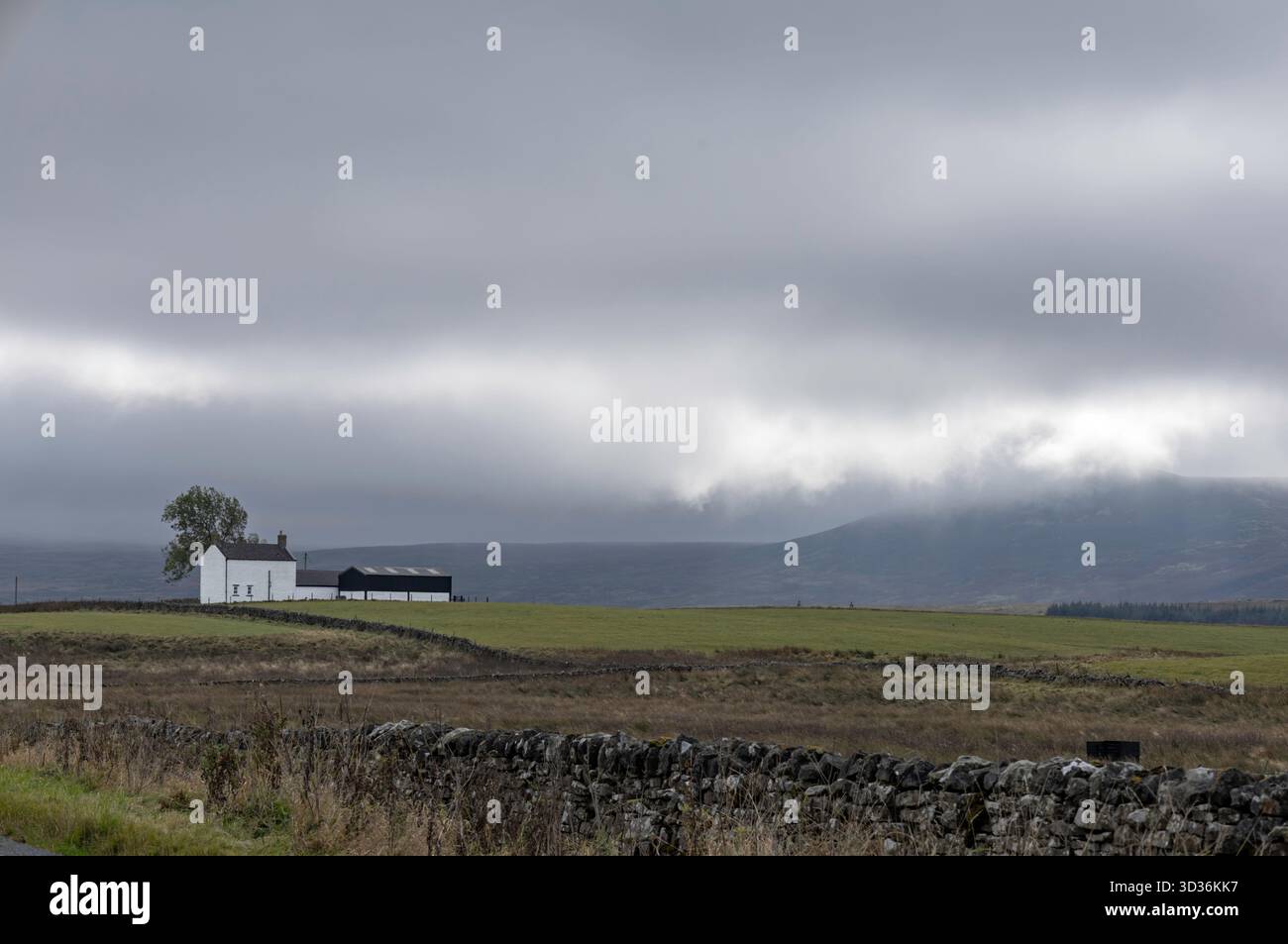 Abgelegenes weißgetünchtes Bauernhaus in Teasdale, County Durham, England, Großbritannien Stockfoto