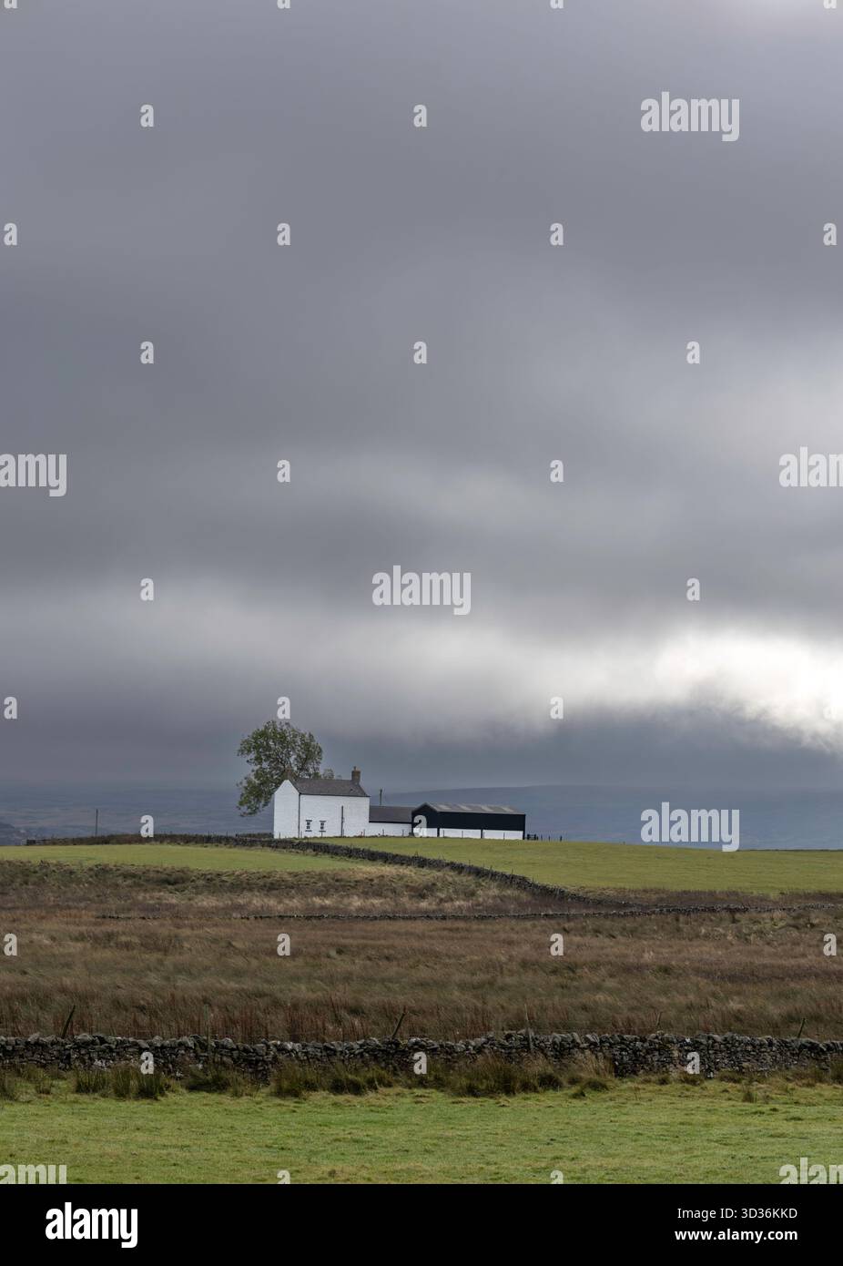Abgelegenes weißgetünchtes Bauernhaus in Teasdale, County Durham, England, Großbritannien Stockfoto