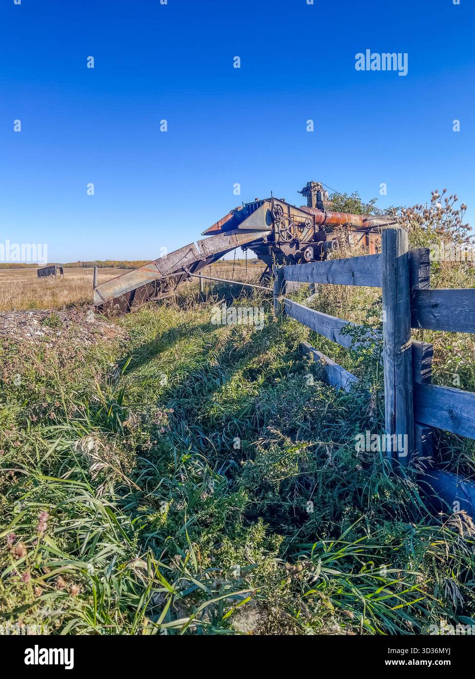 Ein verwitterter, rostender Harvester sitzt neben einem blauen Holzzaun in einem sonnendurchfluteten ländlichen Feld. Bewachsene Gräser umrahmen die Szene und bieten eine ruhige, verlassene - Smartphone-aufgenommenes Stockfoto