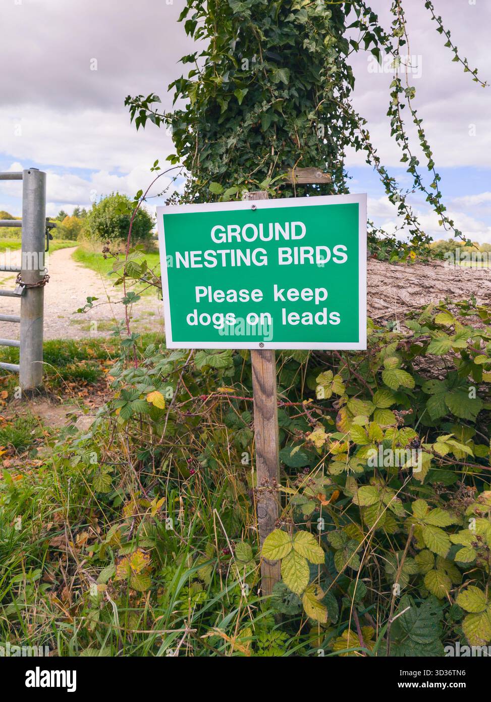 Schildern Sie auf einem öffentlichen Wanderweg in Hampshire, um vor nistenden Vögeln zu warnen. Halten Sie Hunde bitte auf der Spur. England Stockfoto