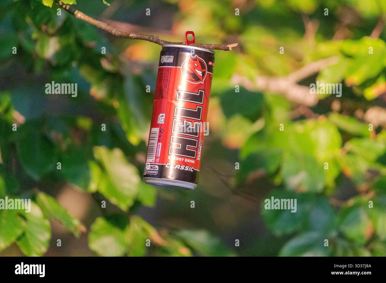 Hell Energy Drink kann auf einem Baumzweig in Bosnien platziert werden – ironischer Kontrast zwischen Branding und Natur. Stockfoto