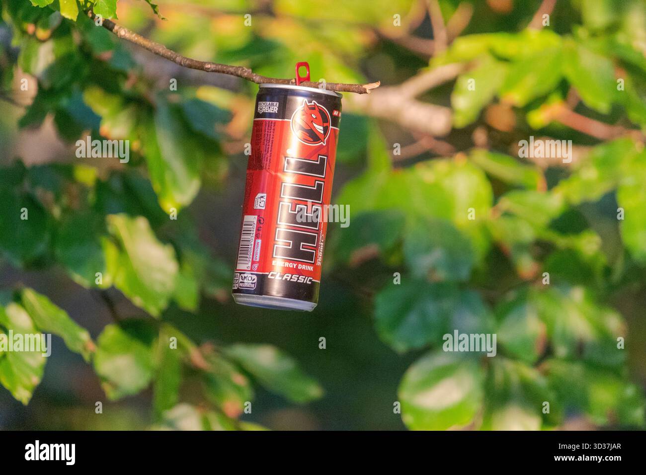 Hell Energy Drink kann auf einem Baumzweig in Bosnien platziert werden – ironischer Kontrast zwischen Branding und Natur. Stockfoto
