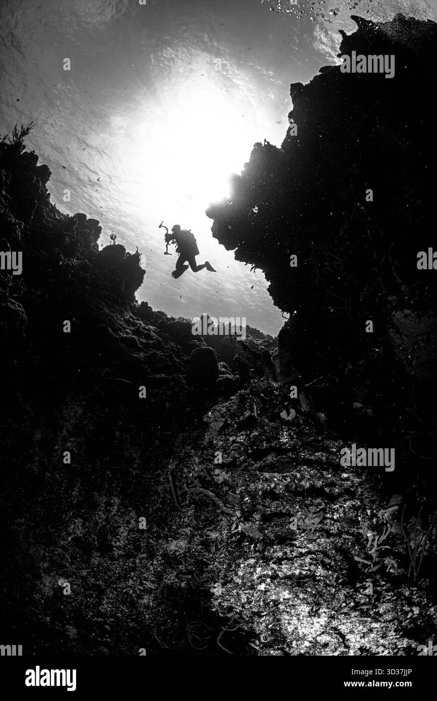 Cozumel Drift Tauchgänge Stockfoto