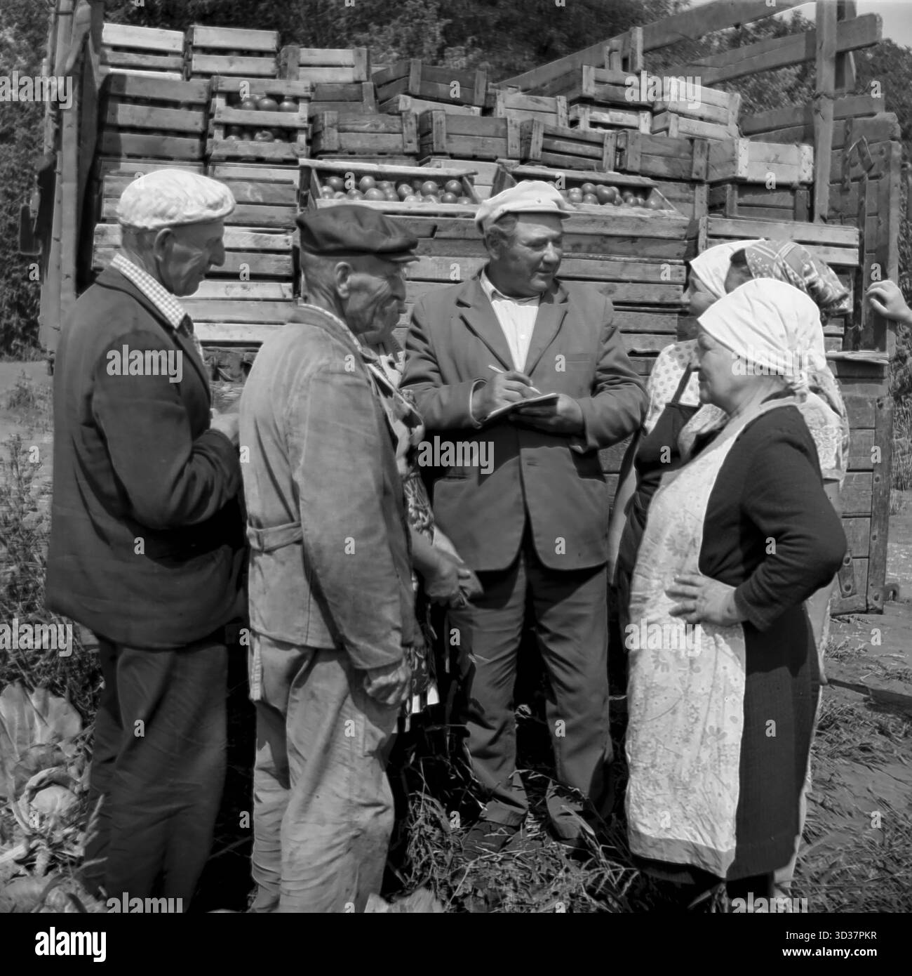 Archiv Schwarzweißfoto von 1961 im Bezirk Sloviansk, ukrainische SSR. Das Bild zeigt ein Arbeitstreffen auf einem lokalen Kollektivbetrieb (Kolchos), einen Agronomen oder Vorsitzenden (möglicherweise Rypalenko) in einem Anzug und einem Mützenständer mit einem Notizblock, bei dem die Ernte mit einer Gruppe männlicher und weiblicher Bauern diskutiert wird. Dahinter befindet sich ein großer Lkw mit Holzkisten, die mit frisch gepflückten Äpfeln gefüllt sind. Dies ist eine typische Szene des sowjetischen Agrarlebens. Stockfoto