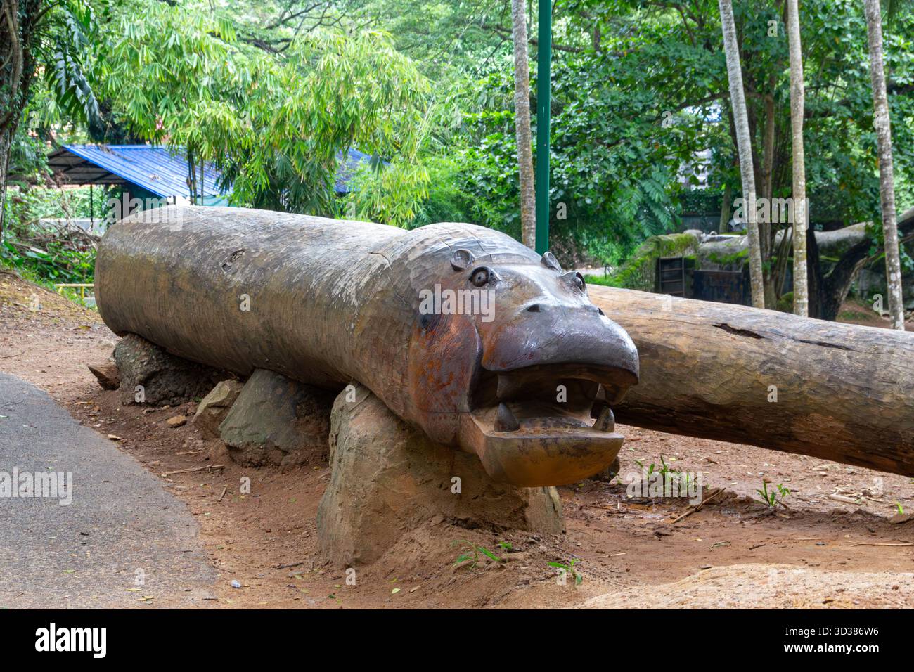 Einzigartige künstlerische Holzskulptur eines Nilpferdes mit offenem Mund aus einem großen Holzstamm Stockfoto