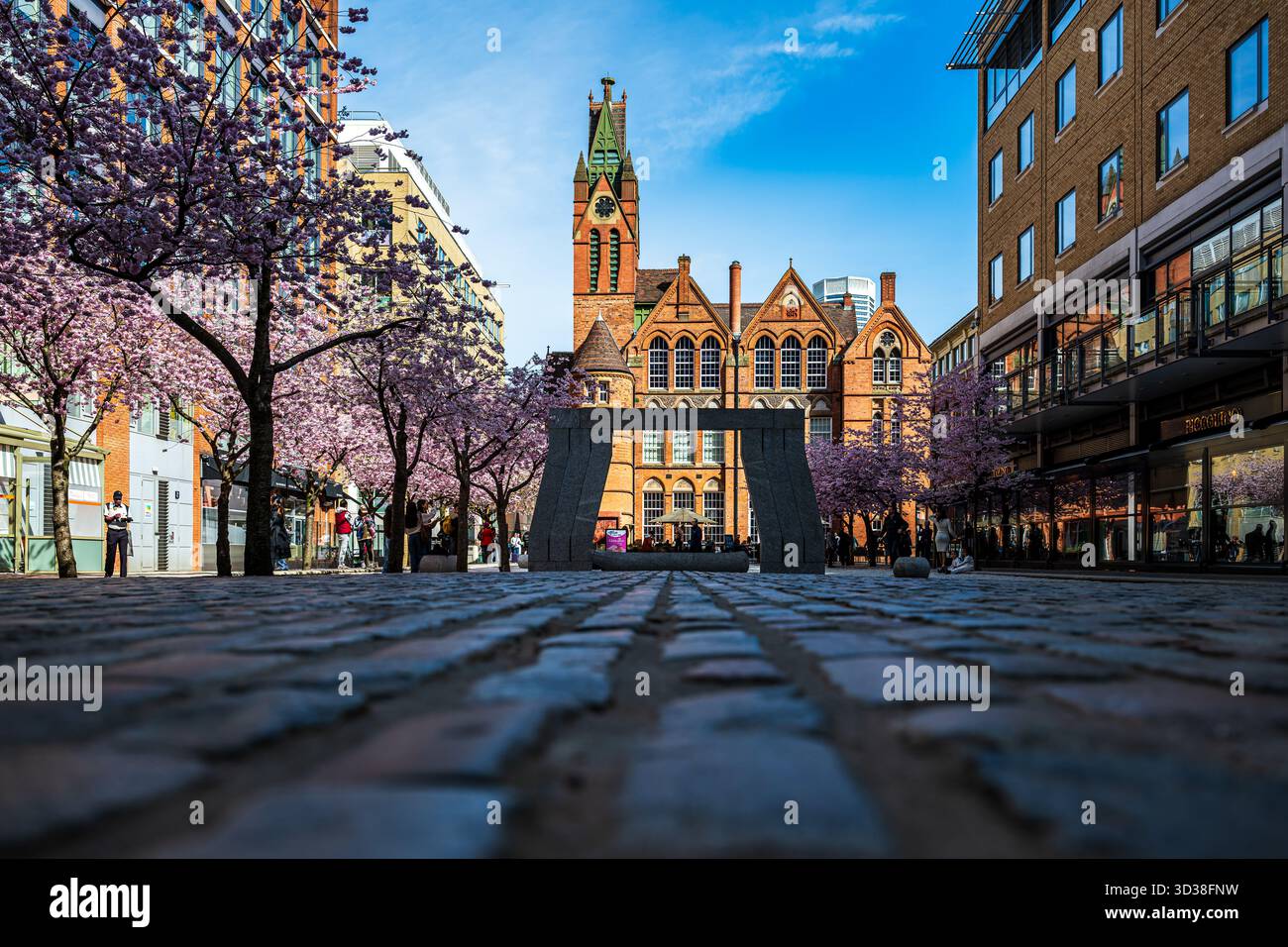 Rosafarbene und weiße Kirschblüten füllen den Oozells Square am Brindleyplace und schaffen eine der spektakulärsten Frühlingsvorstellungen in Birmingham. Gelegen neben Stockfoto