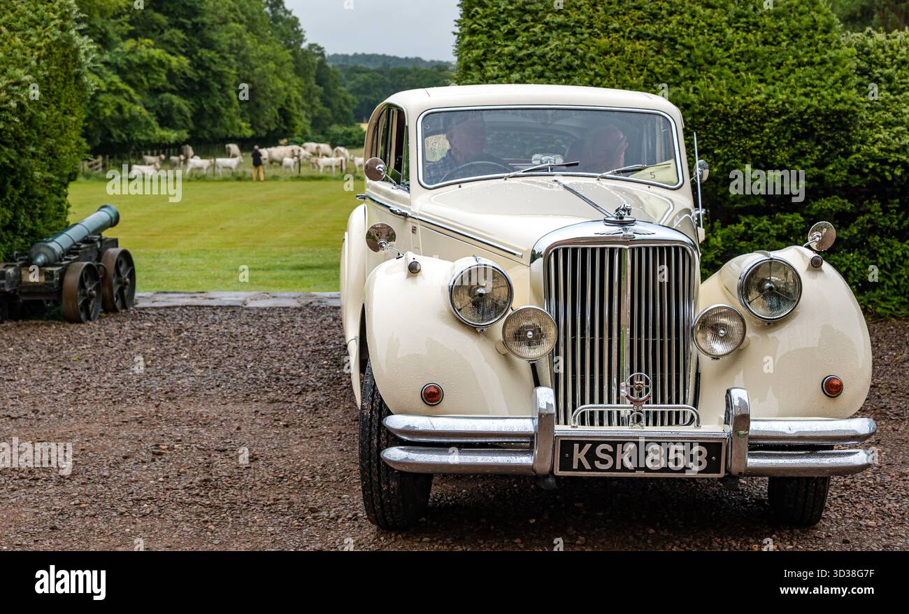 Jaguar Mark V Oldtimer 1951, Lennoxlove Estate, East Lothian, Schottland, Großbritannien Stockfoto