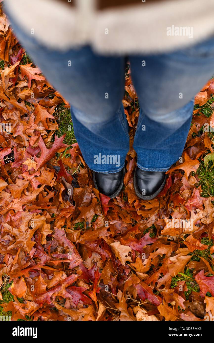 Ästhetische schwarze Stiefel stehen im Herbst auf orange gefallenen Blättern. Stiefel, die auf knusprige Blätter stampfen. Entspannender Herbstspaziergang mit schönen warmen Farben. Stockfoto