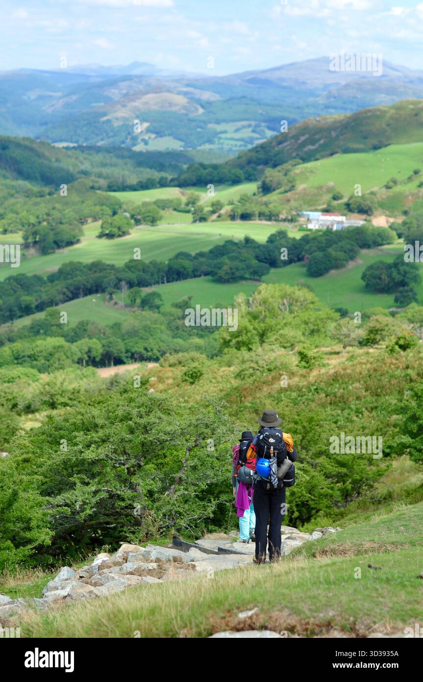 Der malerische Ponyweg führt bis Cadair Idris in Wales, umgeben von zerklüfteten Hügeln und üppiger grüner Landschaft, perfekt für Wanderungen und Naturwanderungen Stockfoto