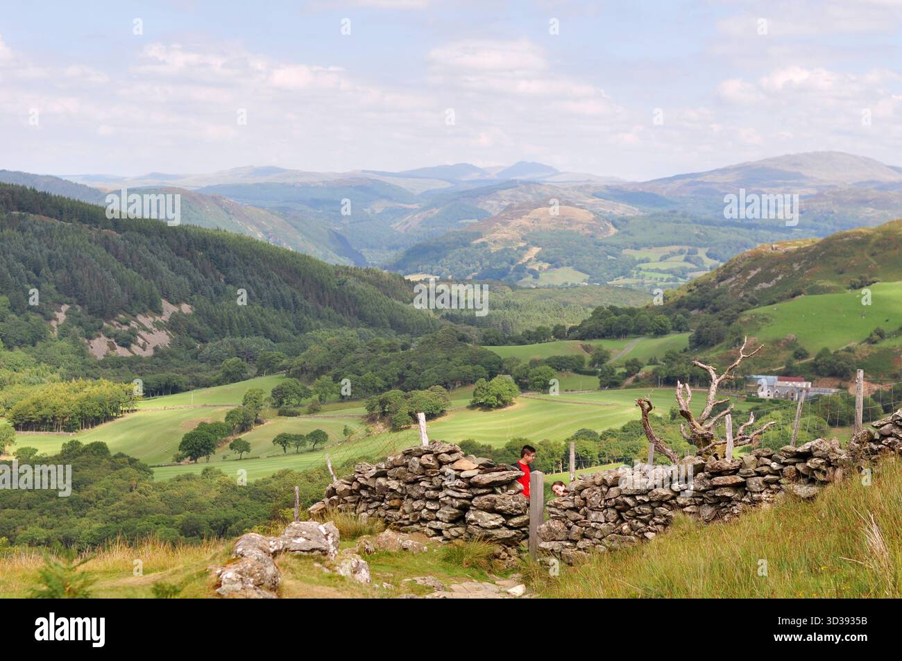 Der malerische Ponyweg führt bis Cadair Idris in Wales, umgeben von zerklüfteten Hügeln und üppiger grüner Landschaft, perfekt für Wanderungen und Naturwanderungen Stockfoto