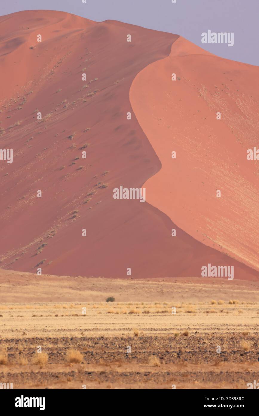 Soussusvlei Sanddünen Namibia Stockfoto