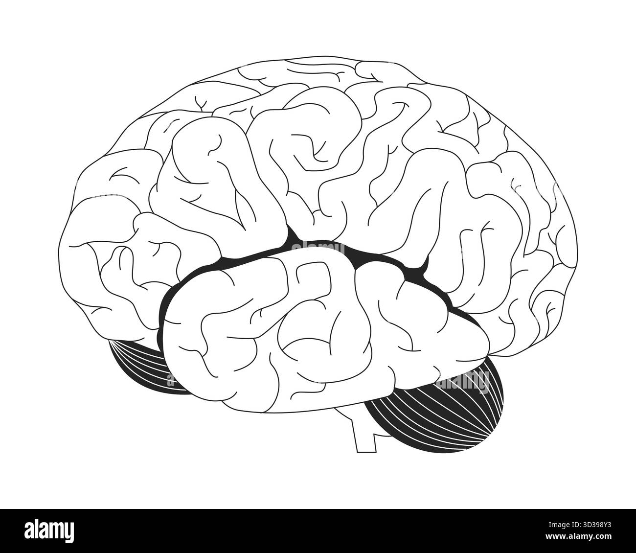 Abbildung der lateralen Umrissdarstellung des menschlichen Gehirns Stock Vektor