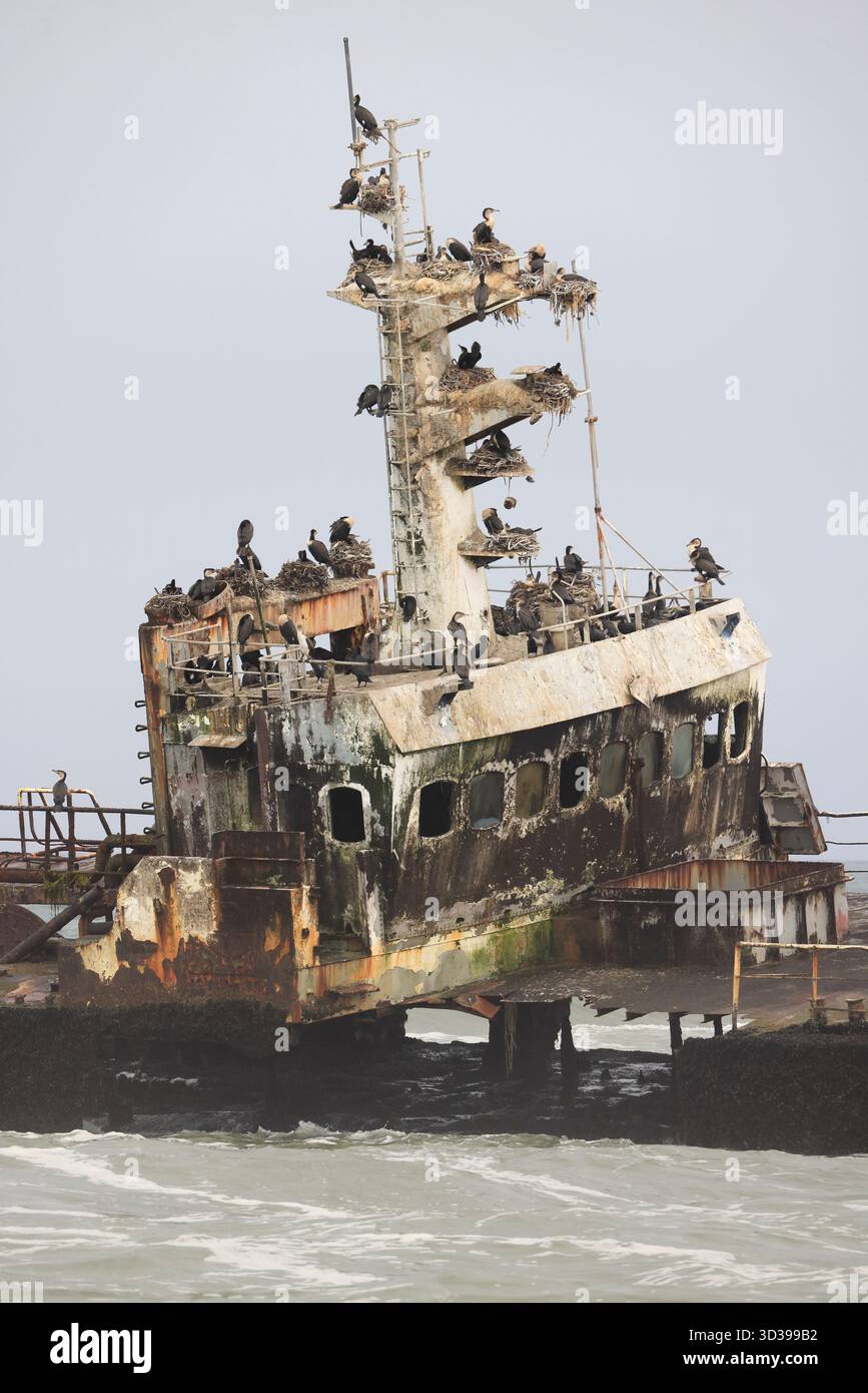 Zeila Shipwreck Skeleton Coast Hentie's Bay Namibia Stockfoto