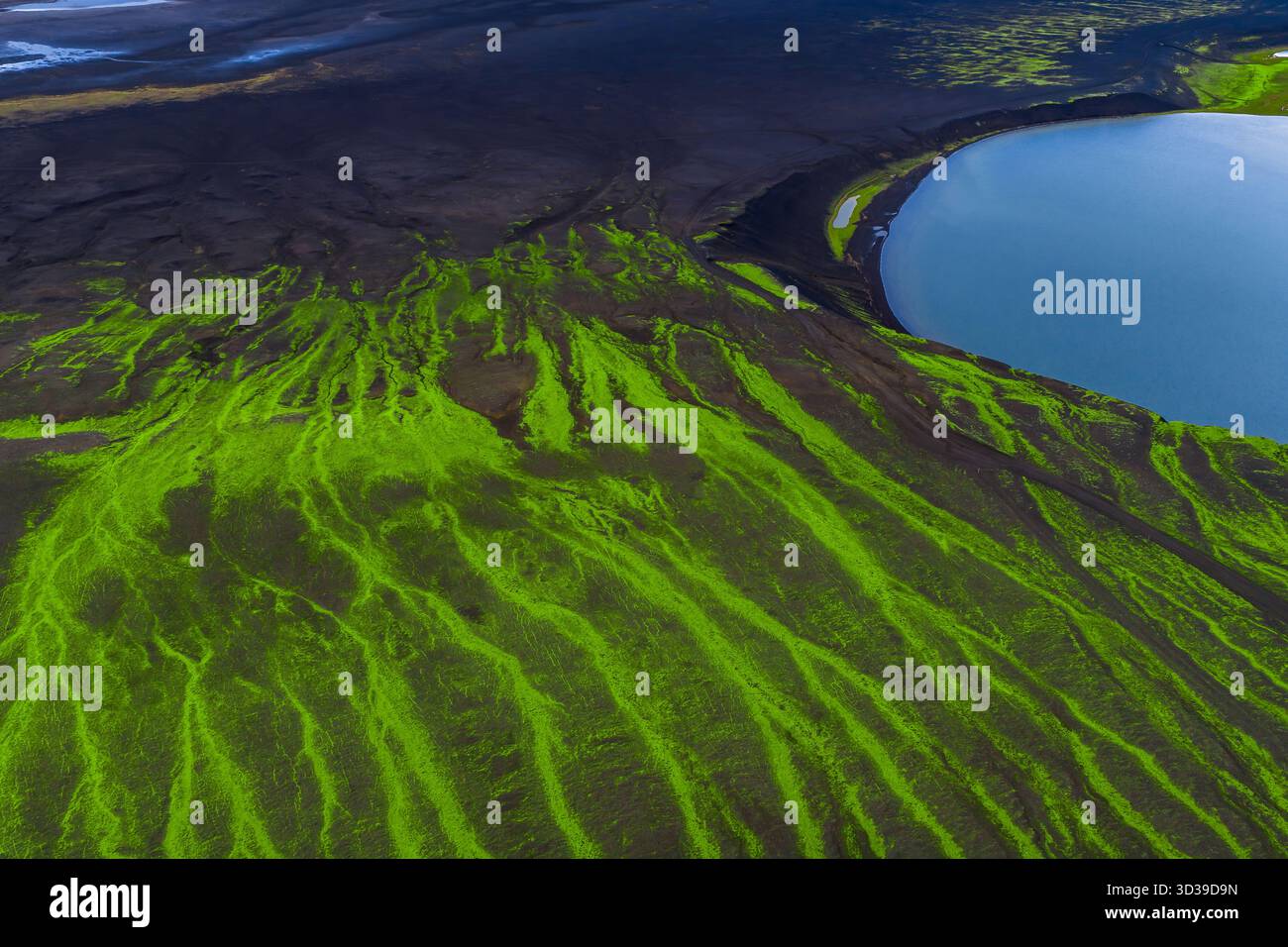 Luftmoosranken auf vulkanischen Hängen am blauen Kratersee in Island Stockfoto