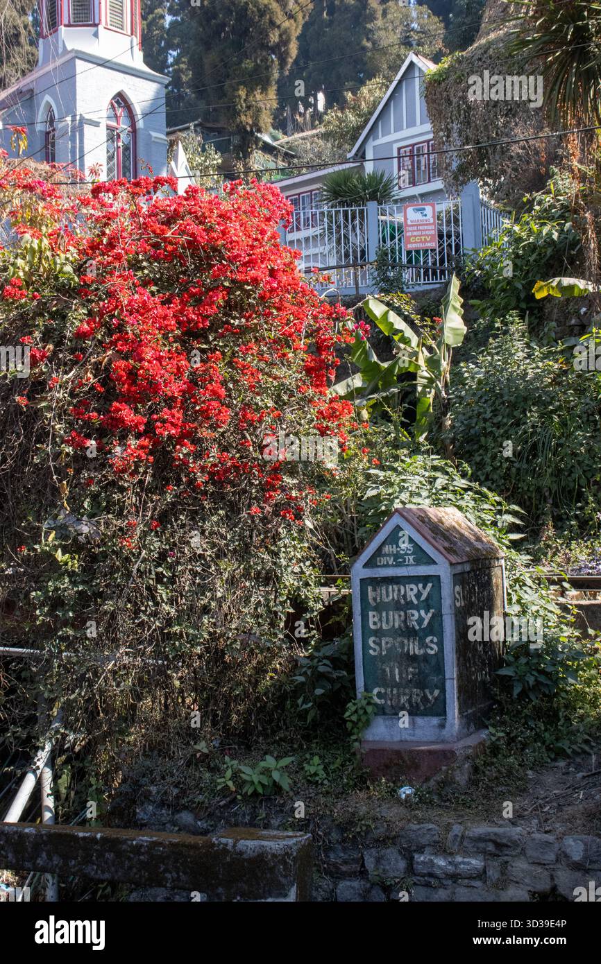 KURSEONG, WESTBENGALEN, INDIEN - 11. FEBRUAR 2024 Beeidigung Burry verdirbt das seitliche Schild der Curry Road Stockfoto