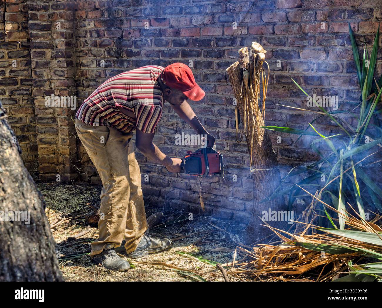 Afrikanische Männer mit einer Kettensäge schneiden einen Baum und räumen Zweige für Brennholz im Hof beim Haus ab Stockfoto