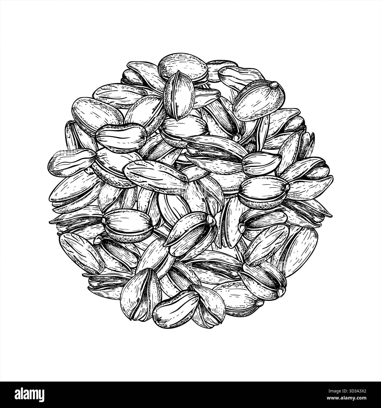 Monochrome Pistazien-Nuss-Haufenvektor-runde Zusammensetzung. Ätzzeichnung von getrockneten Nüssen in der Tusche-isolierten Illustration Stock Vektor