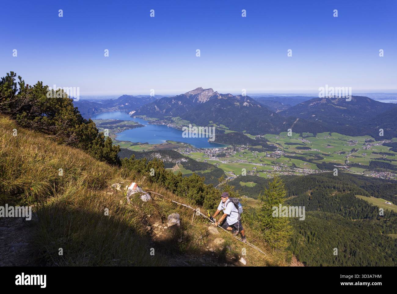 Wanderer an der Eisernen Leiter auf dem Weg zum Rettenkogel mit Wolfgangsee, Postalm, Osterhorngruppe, Salzkammergut, Salzkammergut, Salzburger Land, Österreich Stockfoto