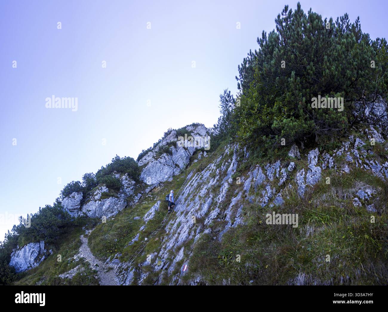 Wanderer an der Eisernen Leiter auf dem Weg nach Rettenkogel, Postalm, Osterhorngruppe, Salzkammergut, Provinz Salzburg, Österreich Stockfoto