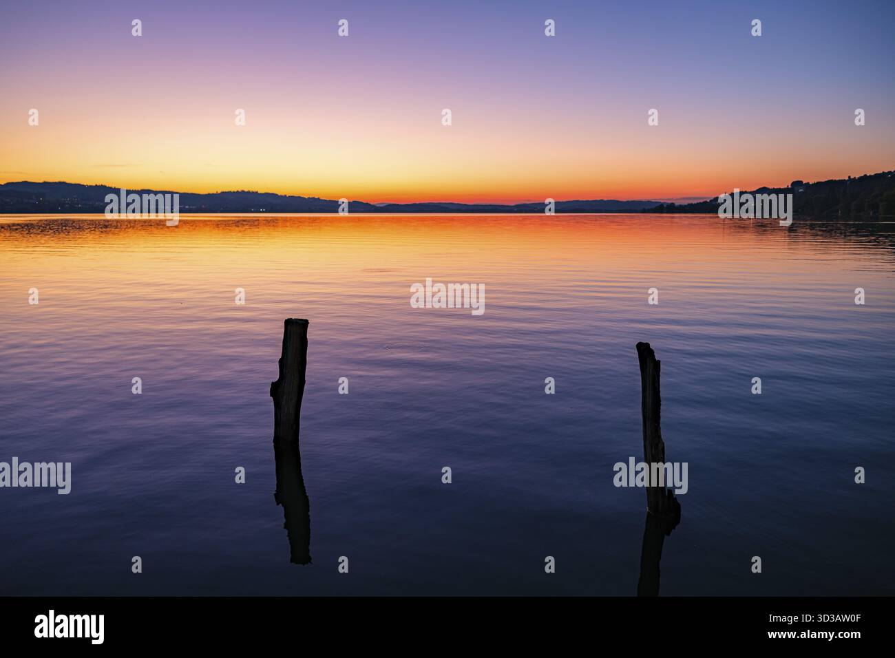 Posts ragen bei Sonnenuntergang aus dem ruhigen Wasser eines Sees hervor, dramatische Farbpalette in Violett und Orange, Sempacher See, Schweiz Stockfoto