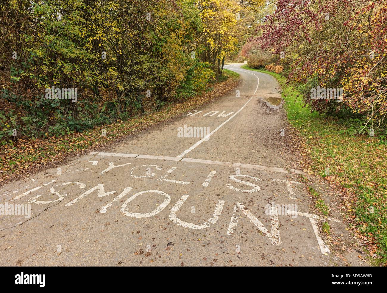 Hinweis für Radfahrer, auf einem absteigenden, kurvenreichen Pfad durch einen Wald in Rutland, England, zu steigen. Stockfoto