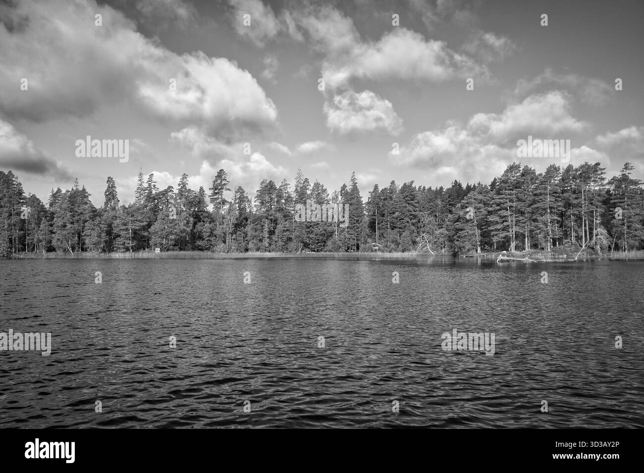Dramatischer Himmel über Einem ruhigen See mit hellen Sonnenstrahlen und Reflexionen im Wasser, natürlichem Idyll und stimmungsvoller Landschaft. Stockfoto