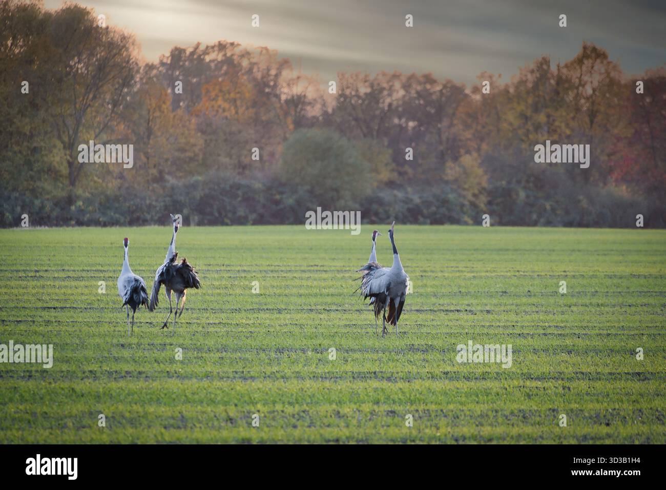 Dramatischer Himmel über Einem ruhigen See mit hellen Sonnenstrahlen und Reflexionen im Wasser, natürlichem Idyll und stimmungsvoller Landschaft. Stockfoto