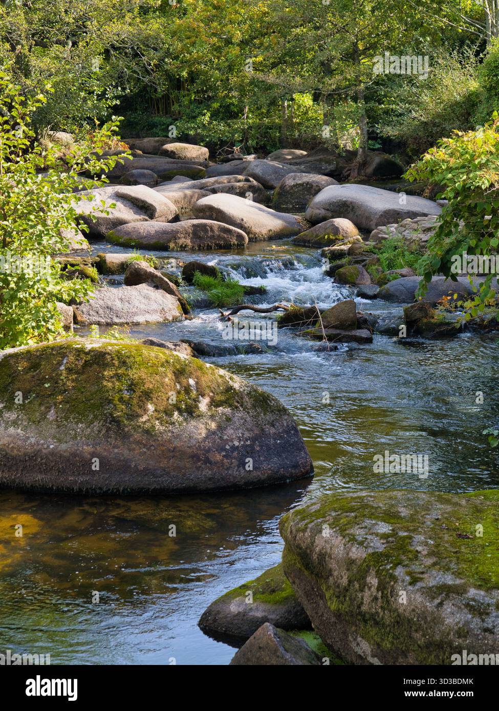 Der sonnendurchflutete Fluss Aven stürzt über moosige Granitfelsen inmitten üppiger Wälder in Pont-Aven, Bretagne, Frankreich. Eine natürliche Szene, ideal für Reisen und Naturthemen. Stockfoto