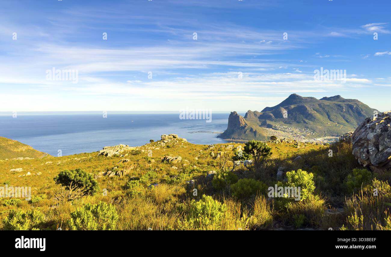 Hout Bay Küstenlandschaft mit Fynbos-Flora in Kapstadt, Südafrika Stockfoto