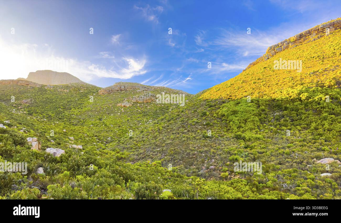 Zerklüftete Berglandschaft mit Fynbos-Flora in Kapstadt, Südafrika Stockfoto