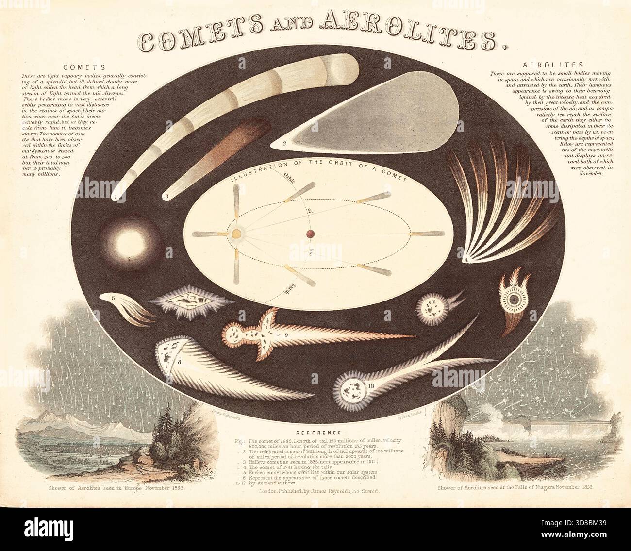 John Emslie (englisch, 1813–1875) - Kometen und Aeroliten (1846) - die Karte zeigt die Umlaufbahn eines Kometen und zeigt, wie sein Schweif immer von der Sonne weg zeigt. Es zeigt verschiedene Kometen, darunter Halleyschen Kometen und Enckes Kometen, sowie einige, die auf antiken Quellen basieren. Der im Titel verwendete Begriff „aerolith“ ist ein archaisches Wort für einen Meteoriten. Am unteren Rand befinden sich Vignetten, die Meteoritenschauer zeigen, die 1836 in Europa und 1833 in den Niagarafällen beobachtet wurden. Stockfoto