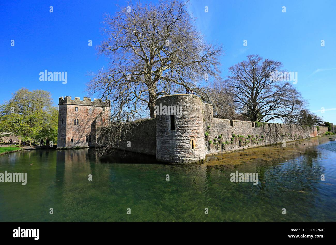 Bischops Palace and Moat, Wells, Somerset. Stockfoto