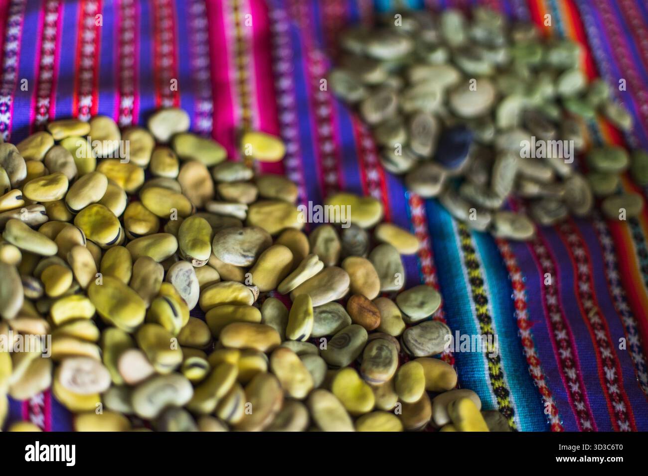 Eine Vielzahl einheimischer Andenfrüchte über traditionellem peruanischem Textil in einem Bauernhaus. Stockfoto