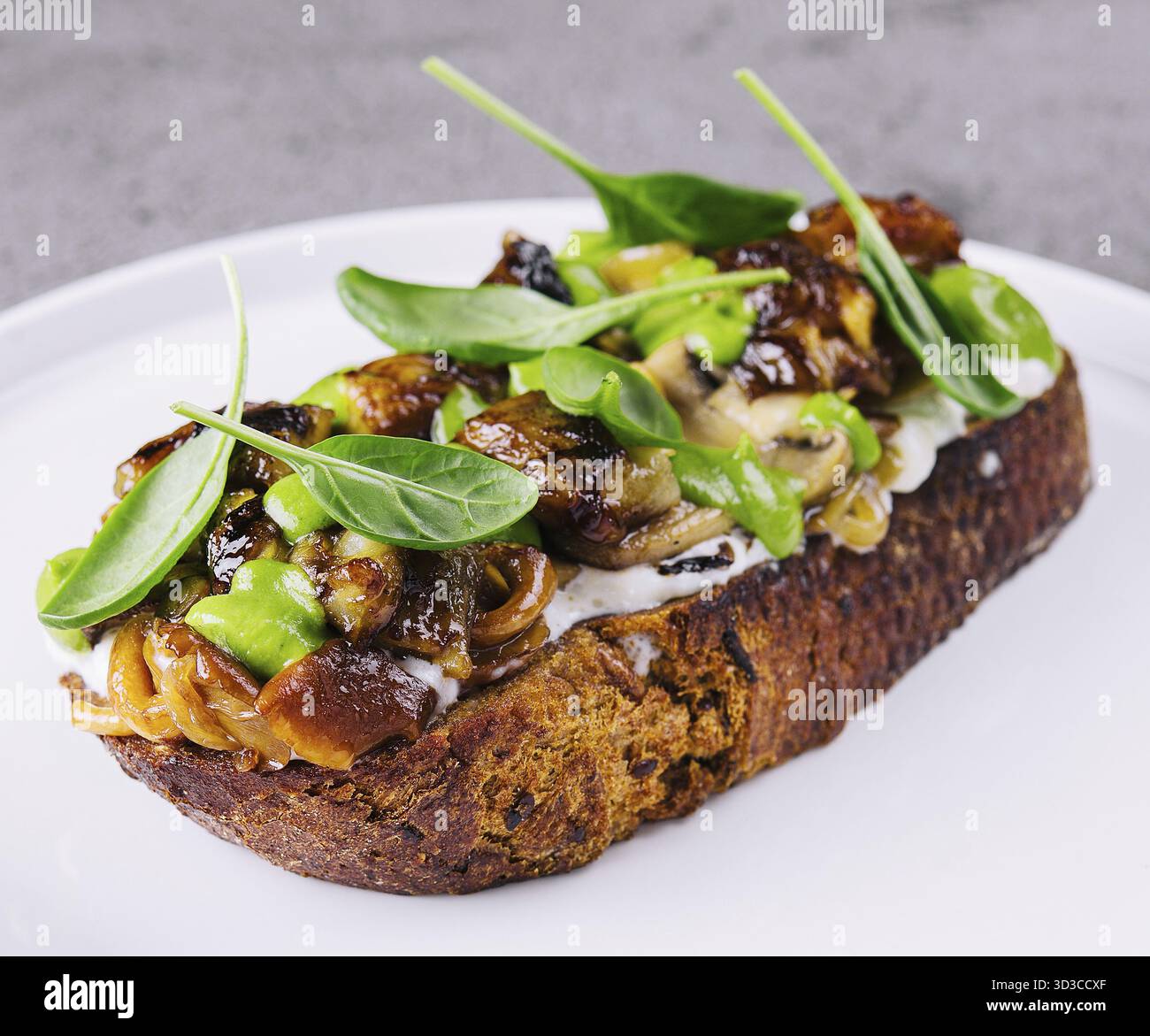 Essen, Toast mit gebratenen Stachelpilzen auf weißem Teller Stockfoto