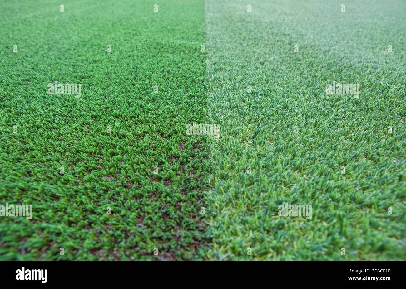 Darstellung zweier Kunstrasenarten mit unterschiedlichen Farben und Dichten. Gartencenter-Konzept Stockfoto