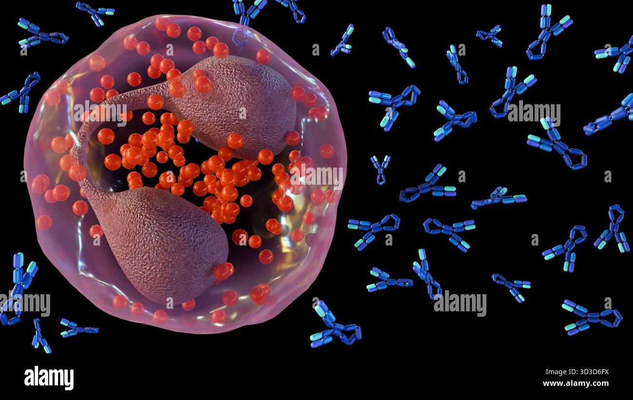 3D-Darstellung der biologischen Darstellung einer grossen weißen Blutzelle oder eines Eosinophilen. Um die Zelle herum befinden sich viele IgE-Antikörper. Stockfoto