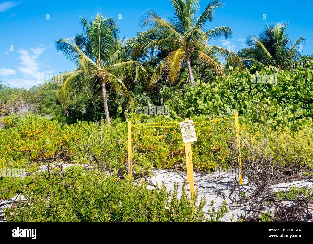 Ein Marker, der die Position eines Nistplatzes für Meeresschildkröten am Strand in Sanibel, Florida, angibt Stockfoto