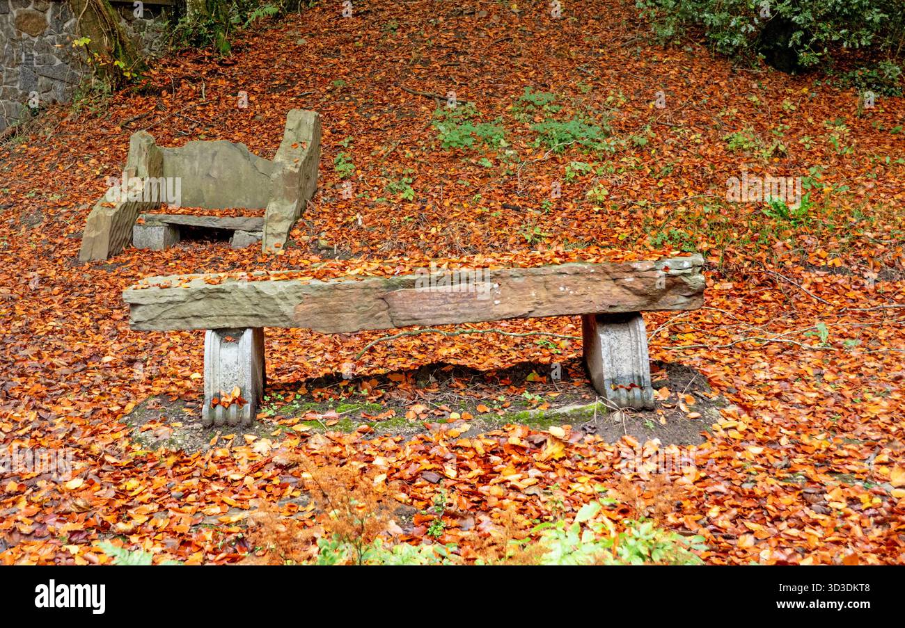 Herbstsaison in Heywood Gardens, Co Laois, Irland Stockfoto