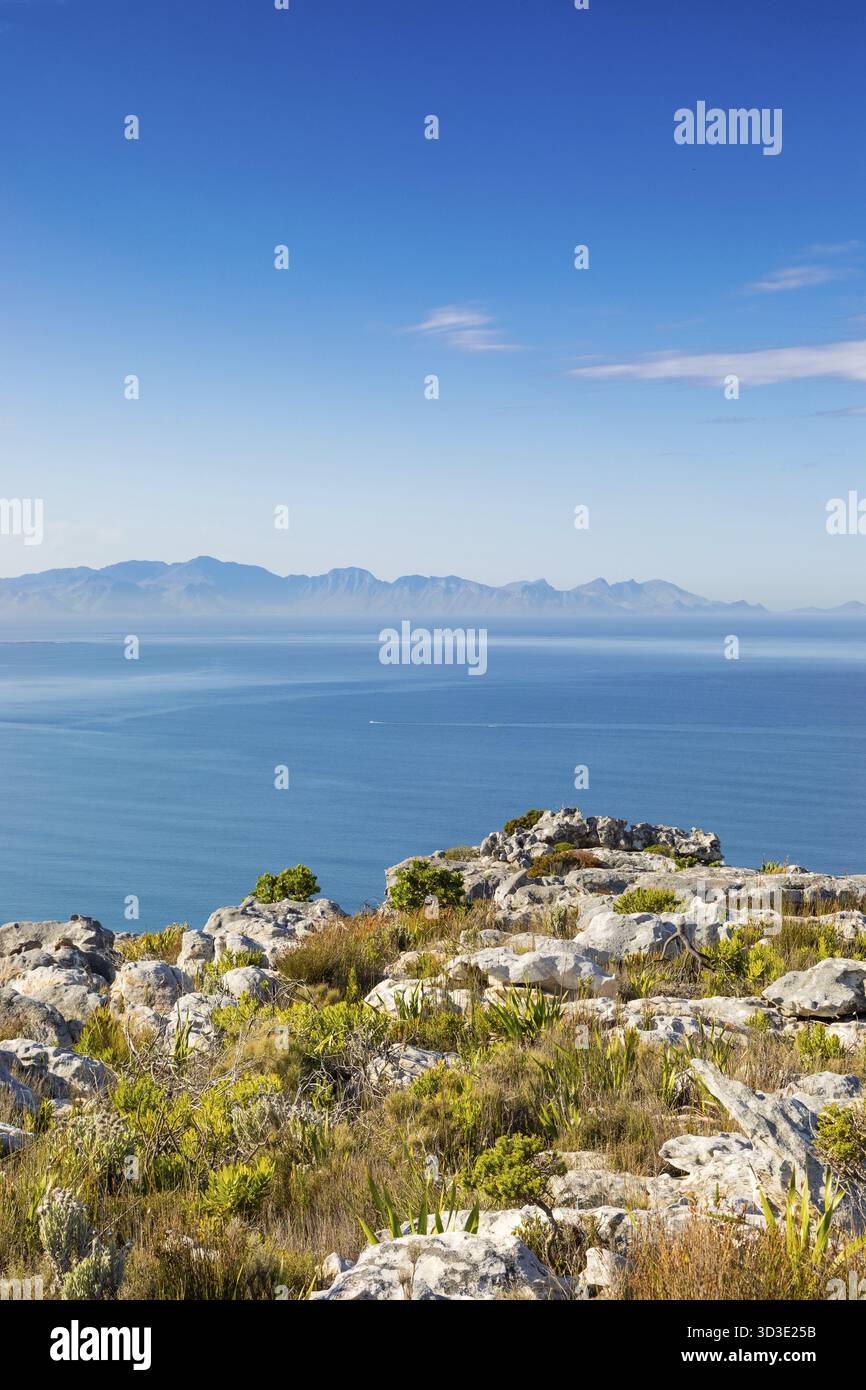 Küstenberglandschaft mit Fynbos Flora in Kapstadt Südafrika, Kapstadt, Südafrika Stockfoto