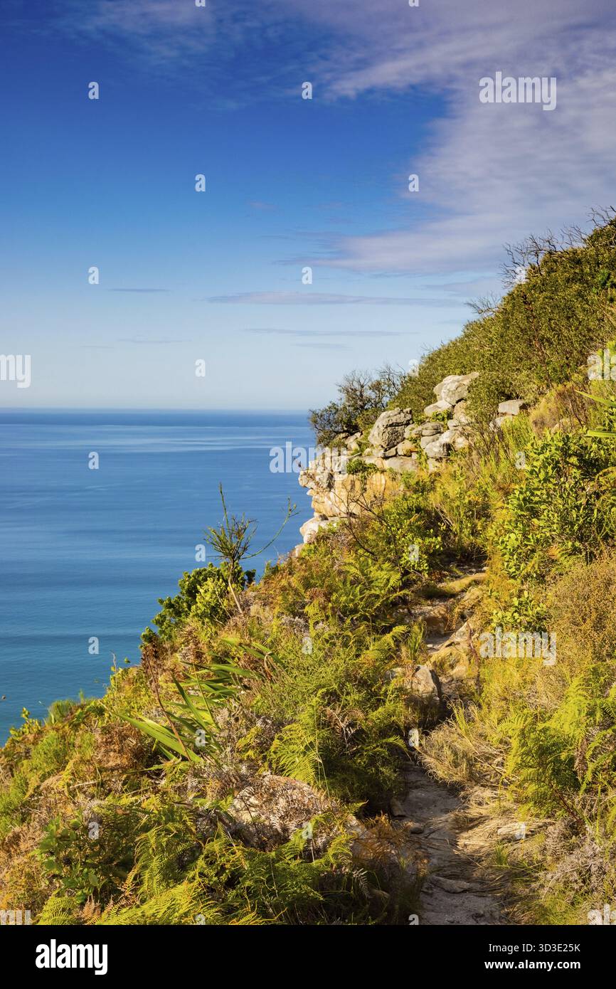 Küstengebirgslandschaft mit Fynbos-Flora in Kapstadt Südafrika Stockfoto