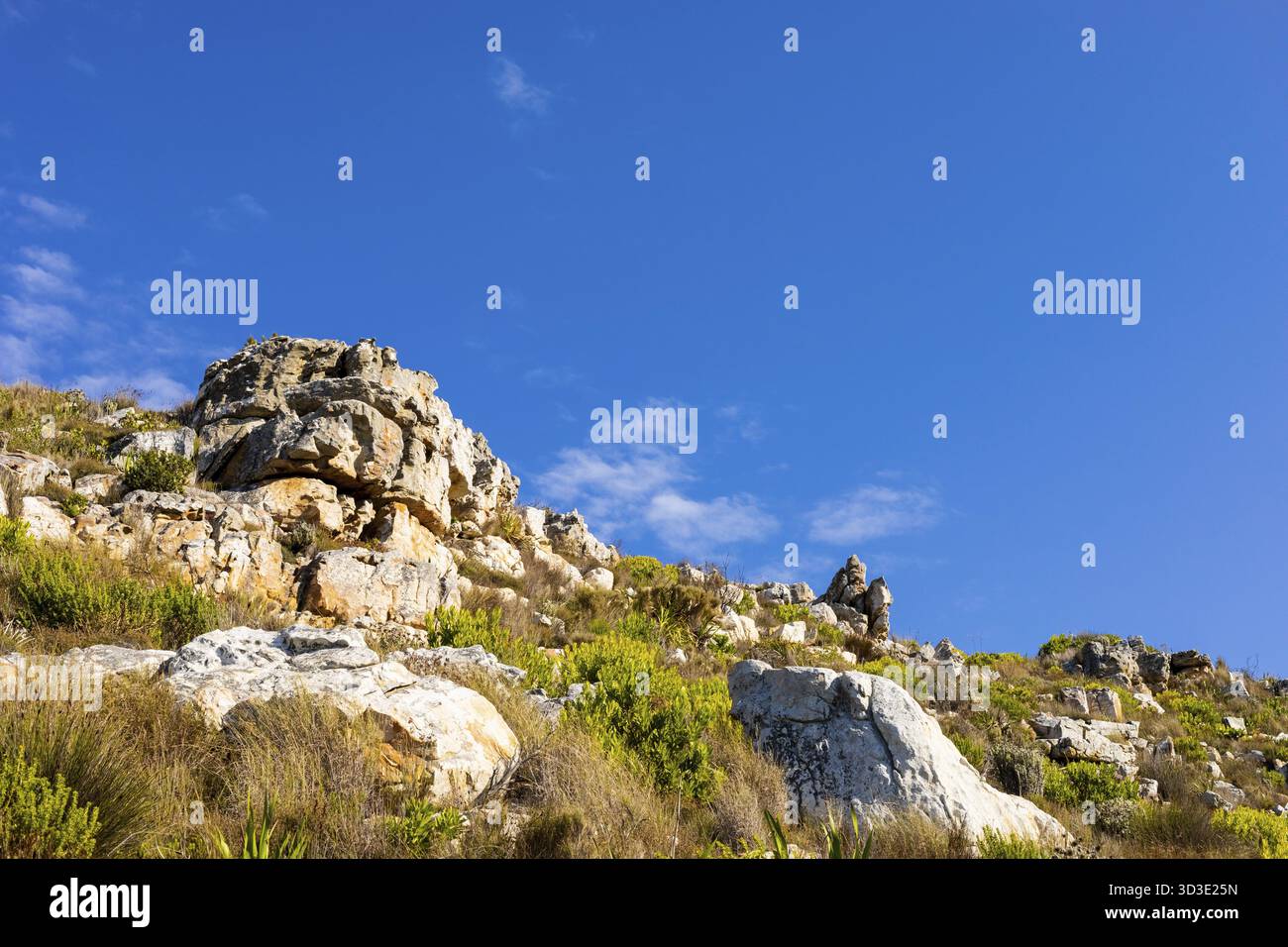 Zerklüftete Berglandschaft mit Fynbos-Buschflora in Kapstadt Südafrika, Kapstadt, Südafrika Stockfoto